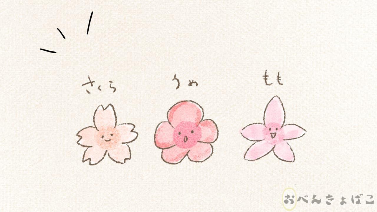 桜と梅と桃の違いのイラスト